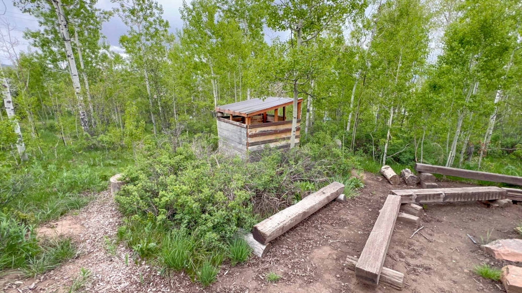 Campsite in the aspens